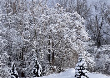 Winter Wonderland - image #487747 gratis