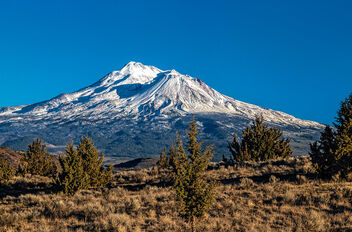 Mt. Shasta with snow - бесплатный image #487847