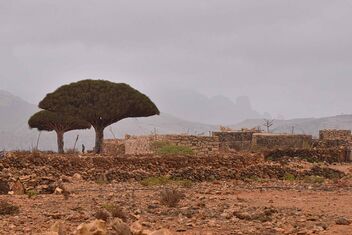 Farmhouse, Socotra Island - бесплатный image #488027