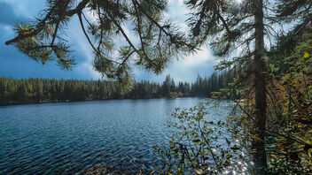 Rocky Mountain National Park - бесплатный image #489497