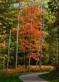 Autumn Color - image #493997 gratis