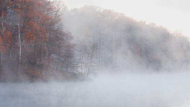 Early Morning Mist on Lake Needwood - бесплатный image #494097