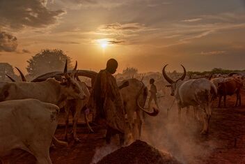 Cattle Camp, Sth Sudan - Free image #496737