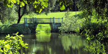 Bridge in the green - Kostenloses image #500487