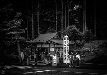 Temple entrance in Hiraizumi - Free image #500637