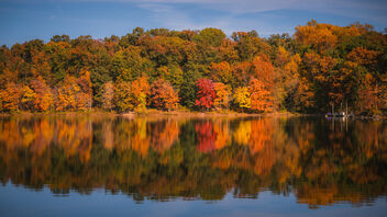 Fall Leaves Reflecting on Lake Needwood - бесплатный image #501737